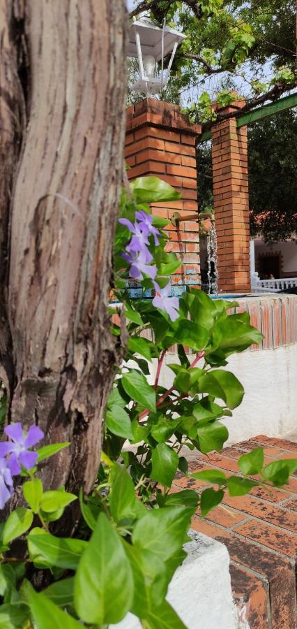 Casa Rural Las Nogueras Caserio Arroyofrio Exteriör bild